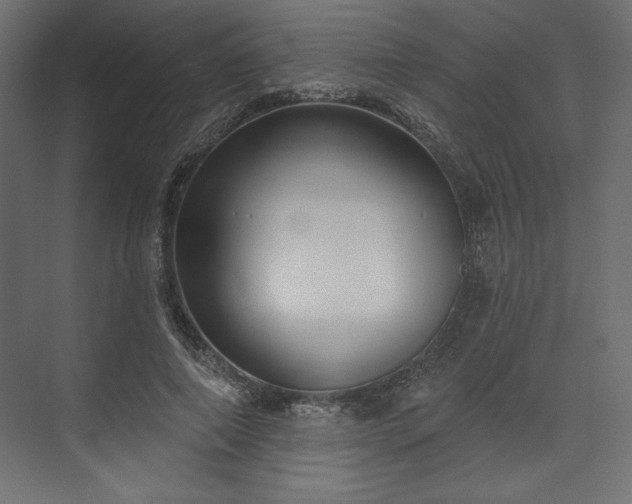 X0000073990690200608281314