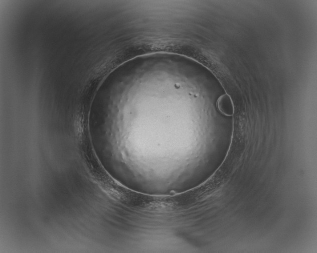 X0000073990691200608281314