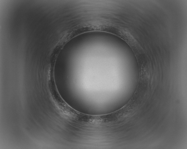 X0000073990694200608281314