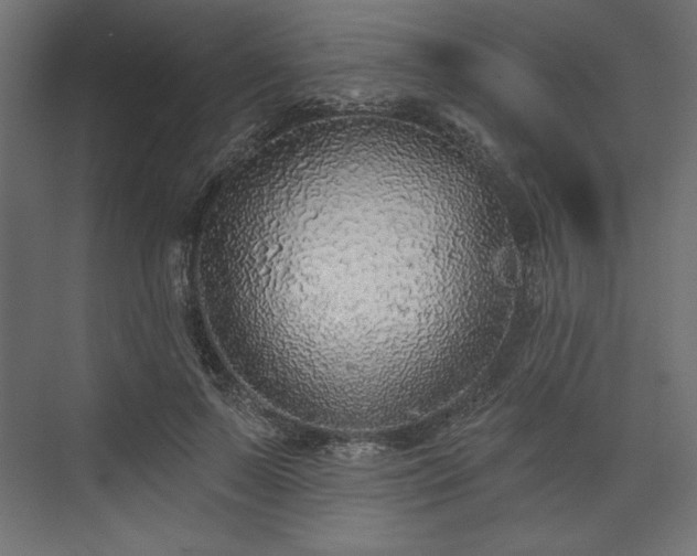 X0000073990695200608281314