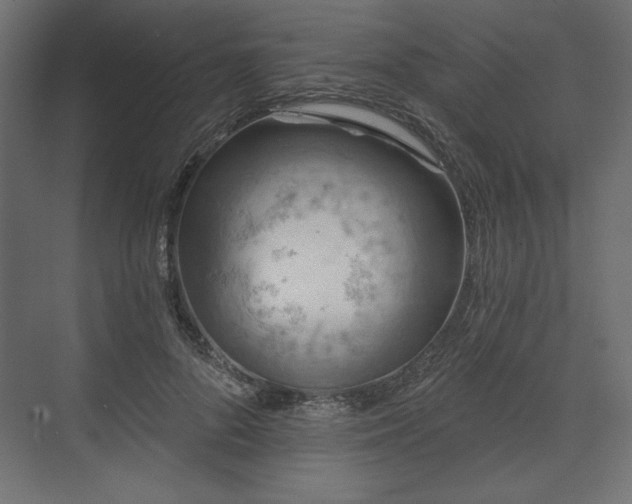 X0000073990696200608281314