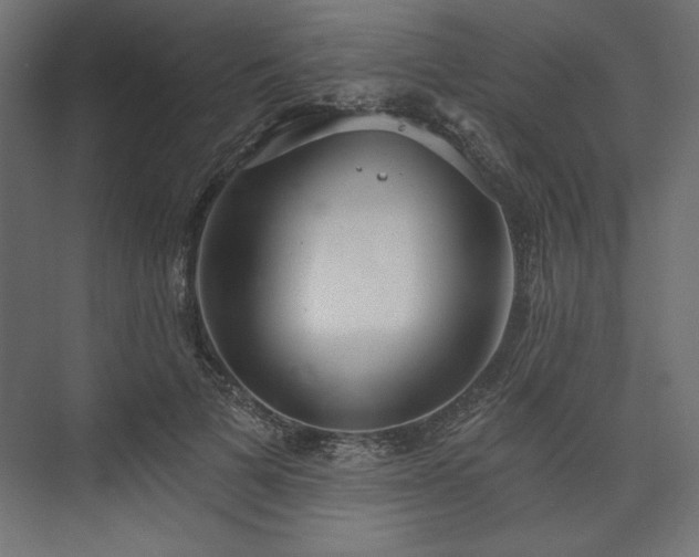 X0000073990697200608281314