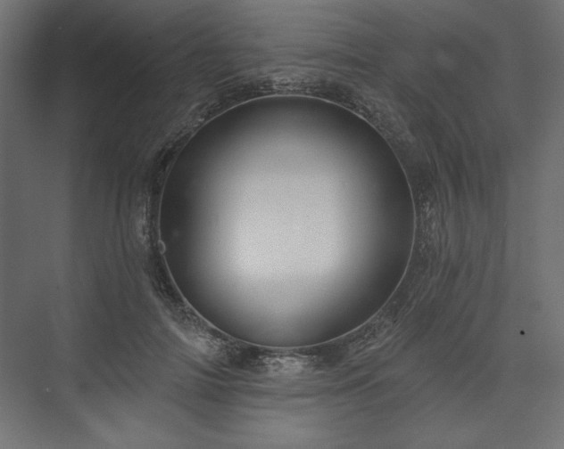 X0000073990698200608281314