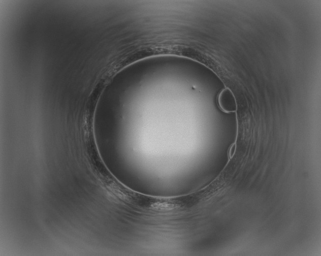 X0000073990699200608281314