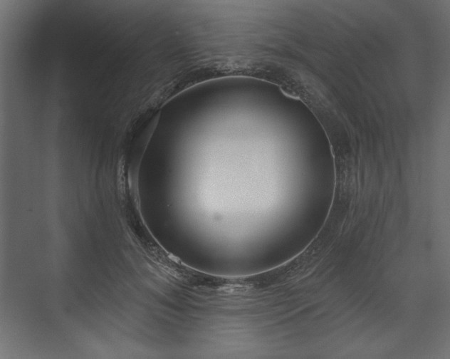 X0000073990700200608281314