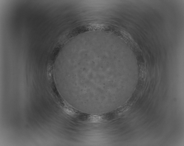 X0000073990701200608281314