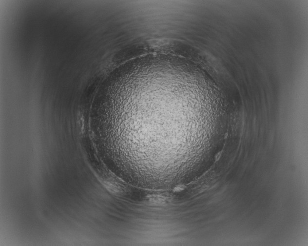 X0000073990703200608281314