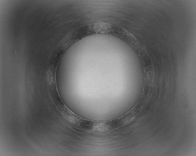 X0000073990705200608281314