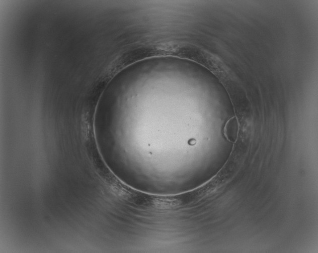 X0000073990707200608281314