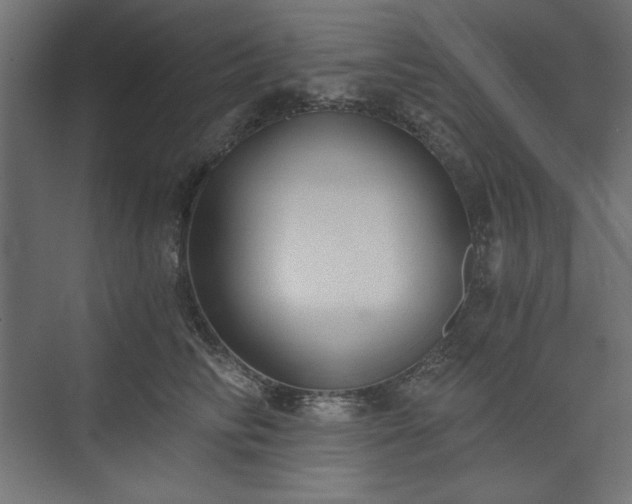 X0000073990710200608281314