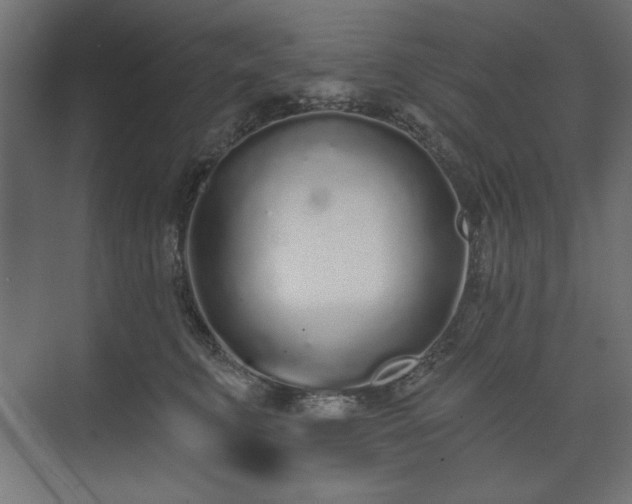 X0000073990711200608281314