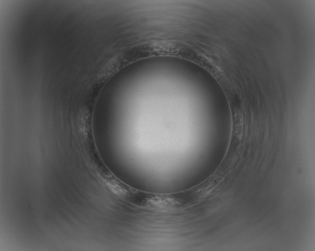 X0000073990712200608281314