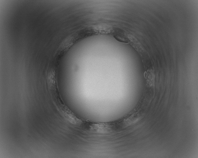 X0000073990713200608281314