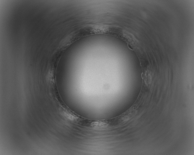 X0000073990714200608281314