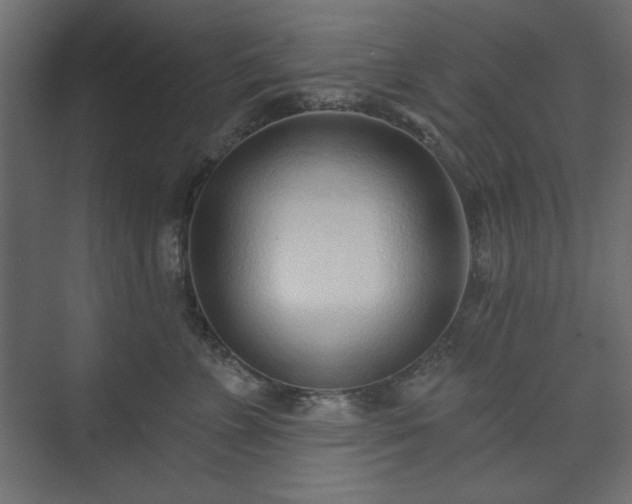 X0000073990715200608281314