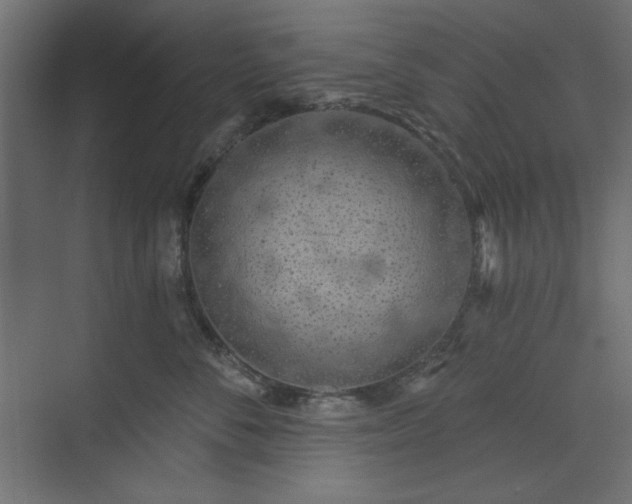 X0000073990716200608281314