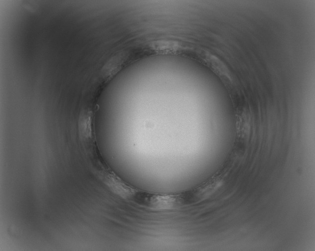 X0000073990717200608281314