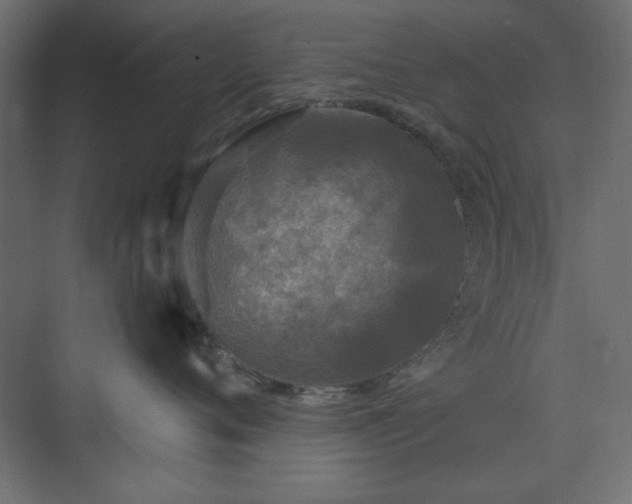 X0000073990720200608281314