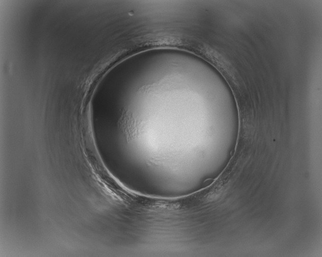 X0000073990721200608281313