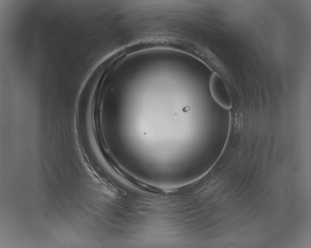 X0000073990724200608281313