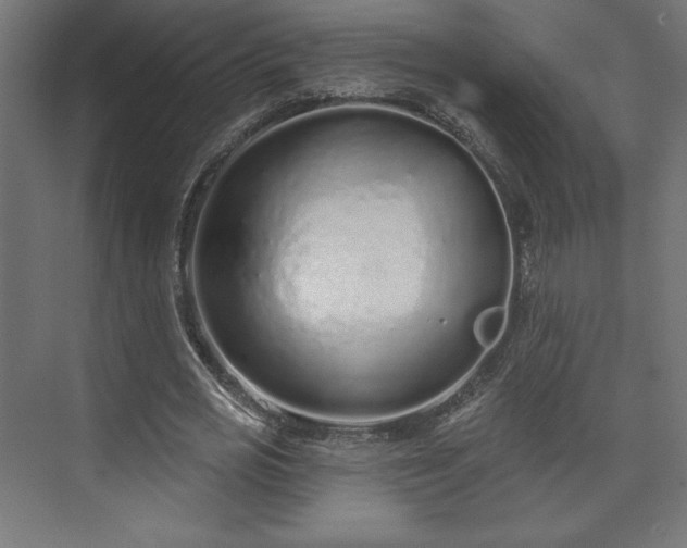 X0000073990725200608281313