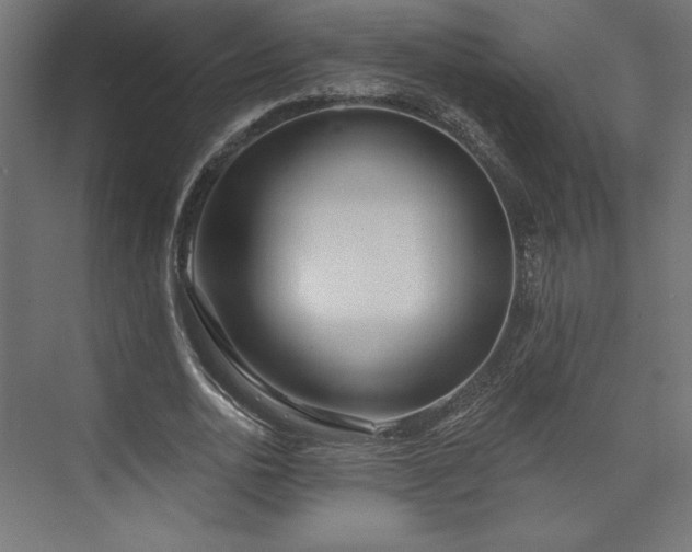 X0000073990726200608281313