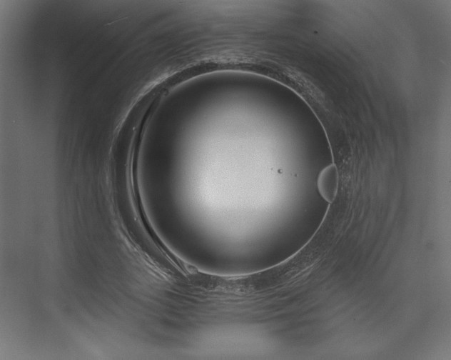 X0000073990727200608281313