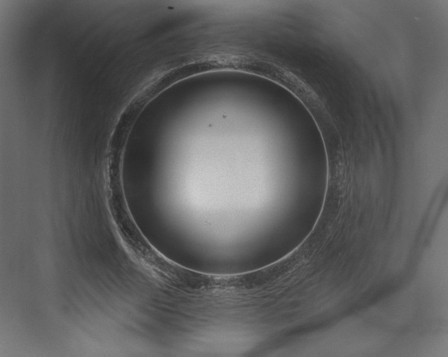 X0000073990730200608281313