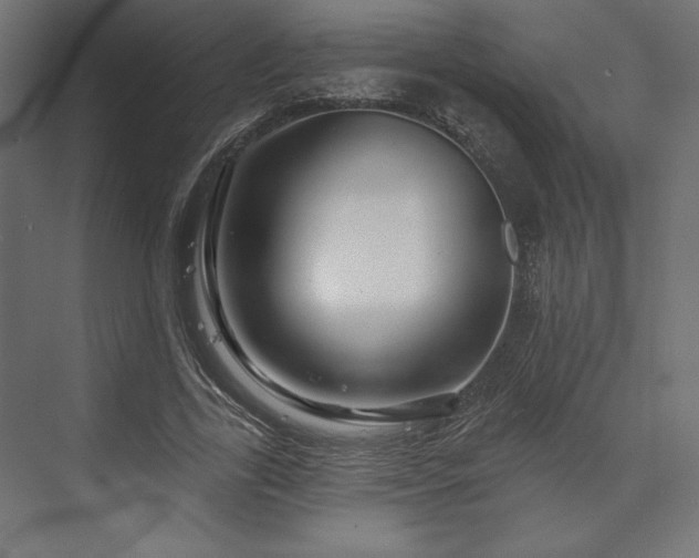 X0000073990731200608281313