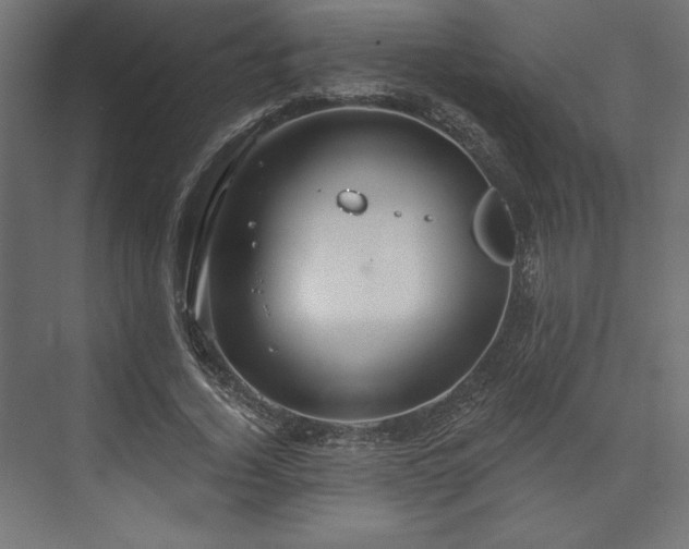 X0000073990732200608281313