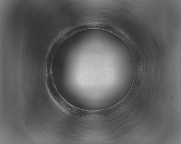 X0000073990734200608281313