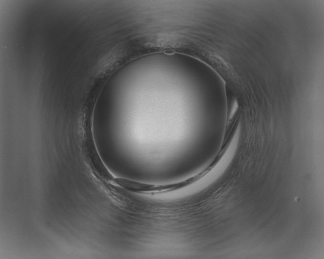 X0000073990735200608281313