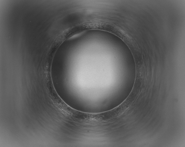 X0000073990737200608281313