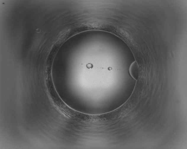 X0000073990738200608281313