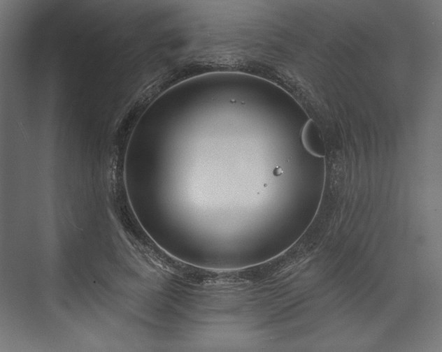 X0000073990739200608281313