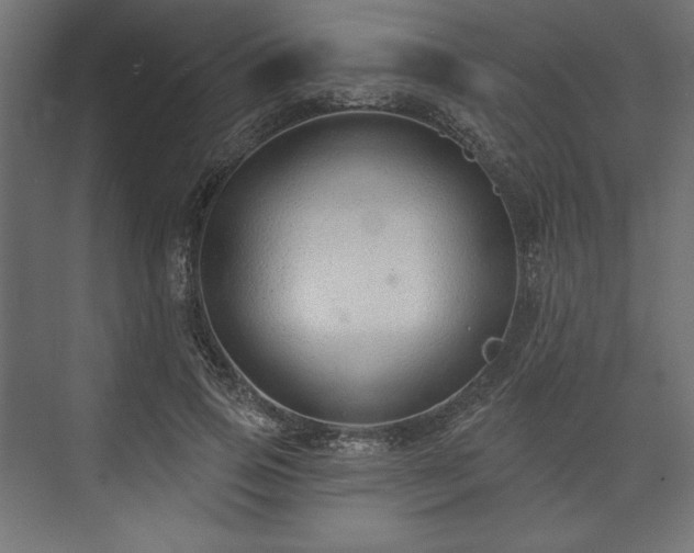 X0000073990741200608281313