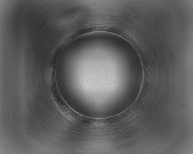 X0000073990742200608281313