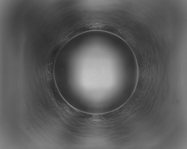 X0000073990743200608281313