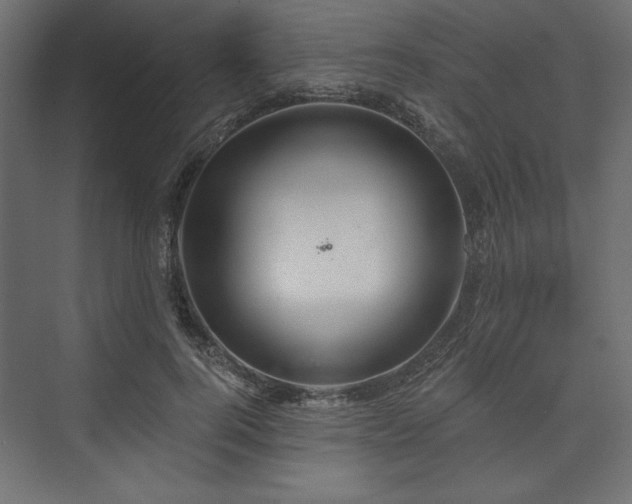 X0000073990744200608281313