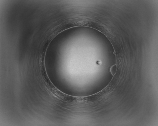 X0000073990745200608281313