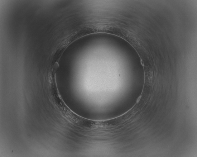 X0000073990746200608281313