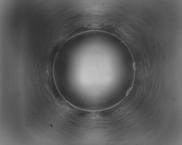 X0000073990747200608281313