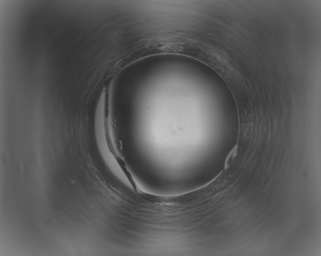 X0000073990748200608281313