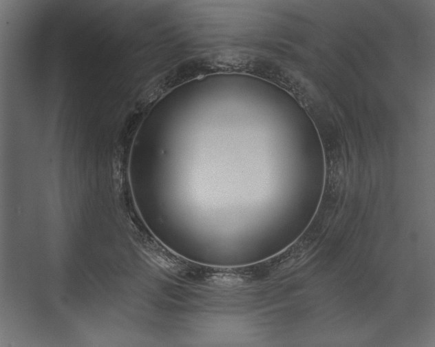 X0000073990749200608281313