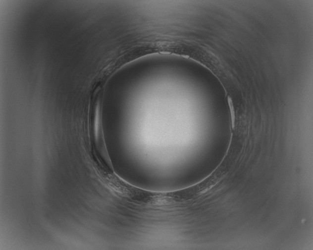 X0000073990750200608281313