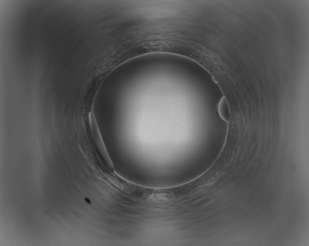 X0000073990751200608281313