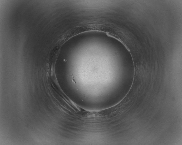 X0000073990752200608281313