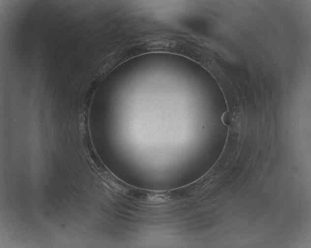 X0000073990753200608281313