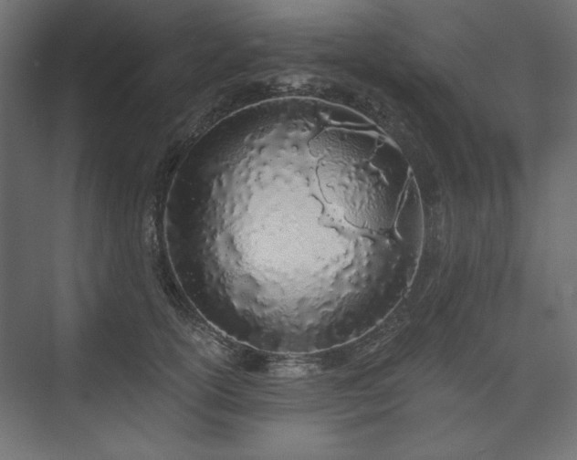 X0000073990754200608281313