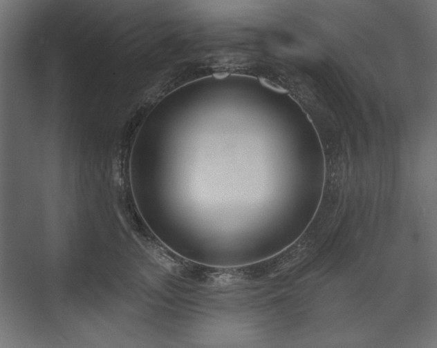 X0000073990755200608281313